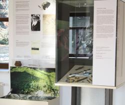wand archaeologie
